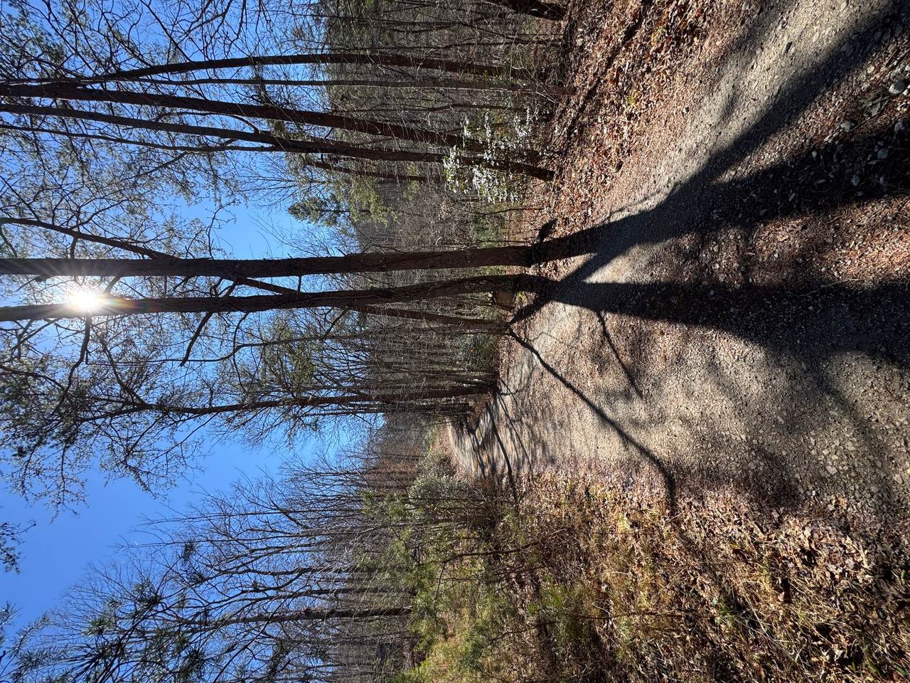 https://bt-photos.global.ssl.fastly.net/hcbor/1280_boomver_2_1002649-2.jpg