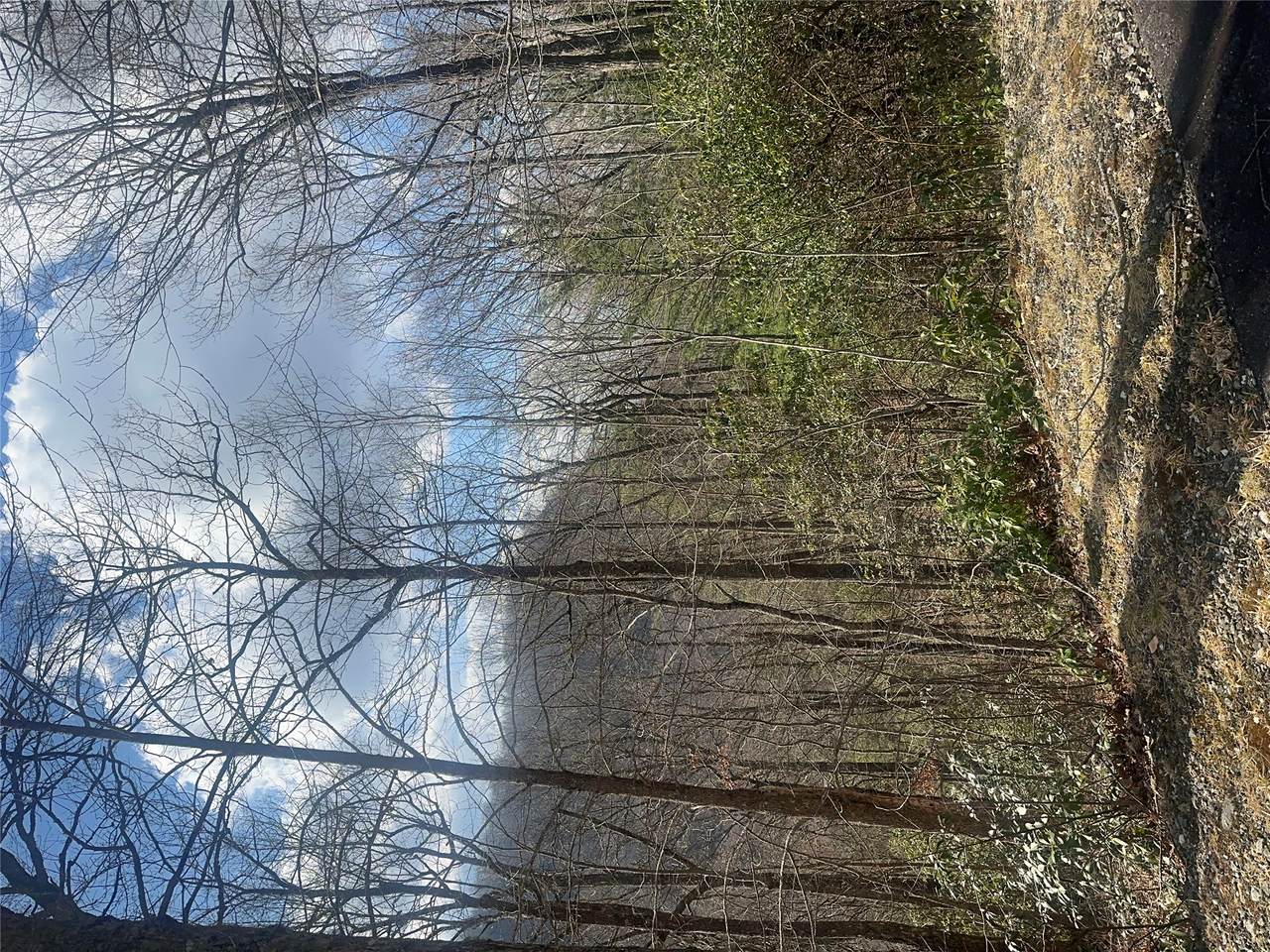 Lot 3 Ridgemont Drive - Photo 1