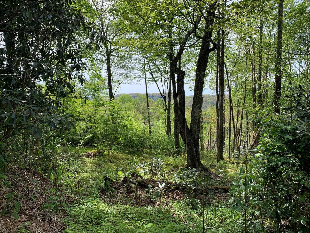95 Oak Point - Photo 1
