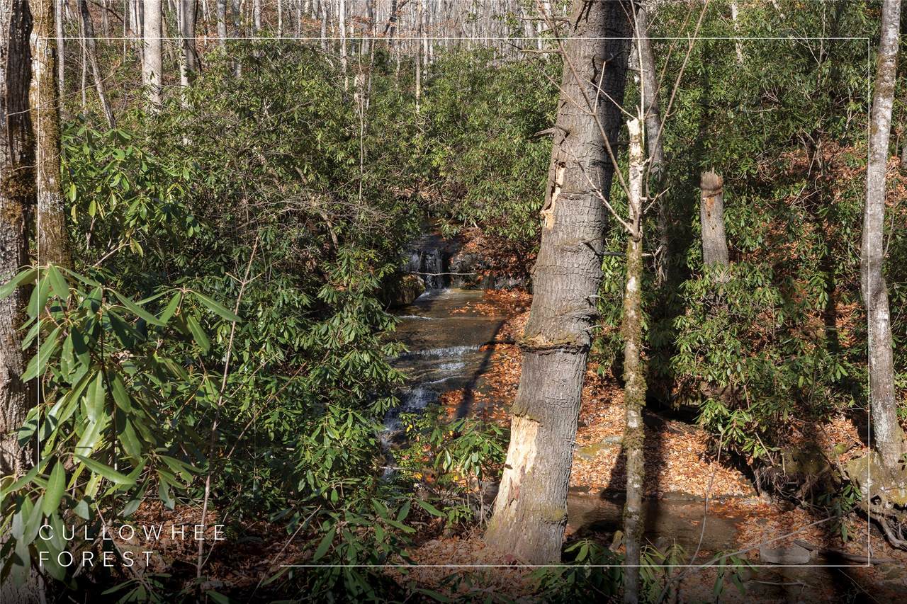 Lot 47 Cullowhee Forest Road - Photo 1