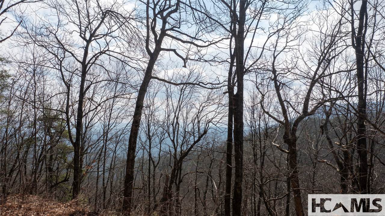 LOT 1 King Gap Road - Photo 1
