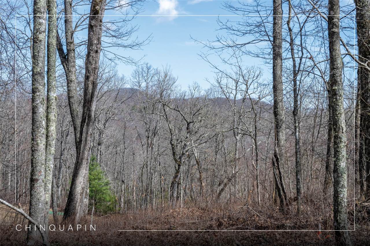 Lot 63 New Settler's Way - Photo 1