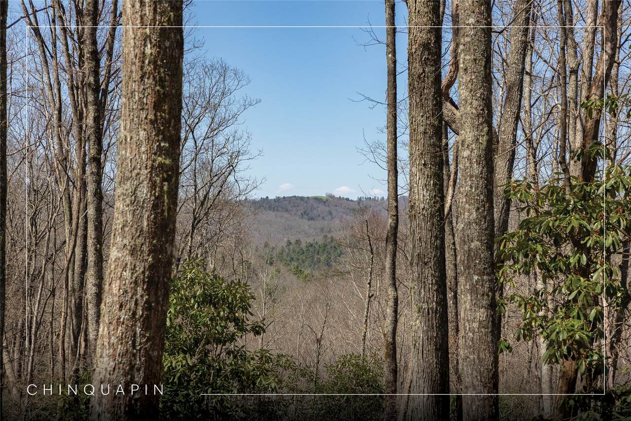 Lot 34 New Settler's Way - Photo 1