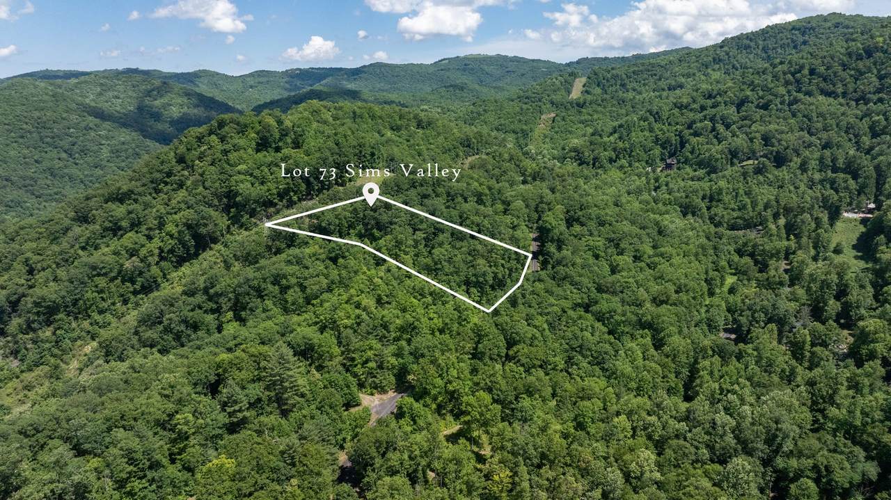 73 Pilot Knob Road - Photo 1