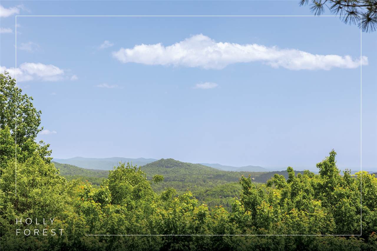165 Birdnest Road - Photo 1