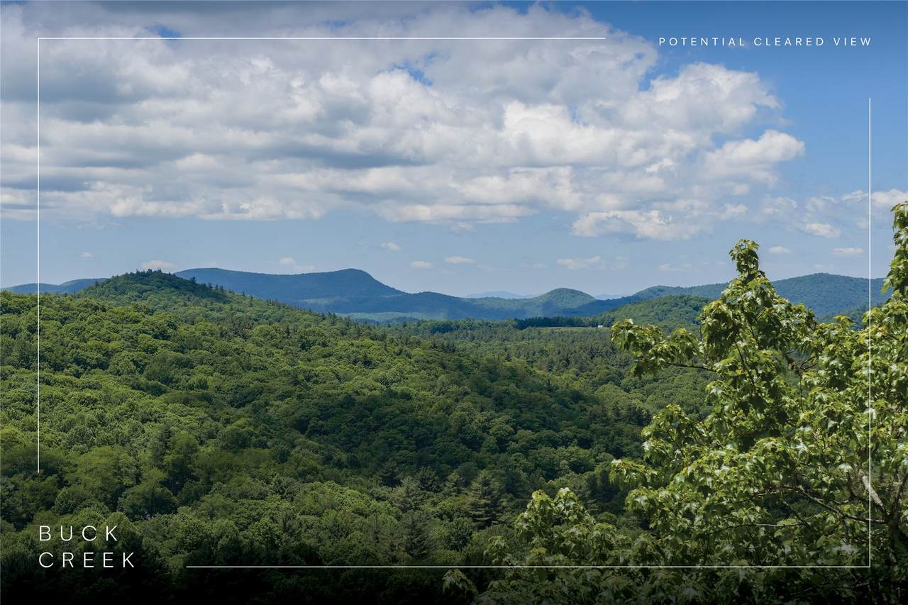 TBD Buck Creek Road - Photo 1
