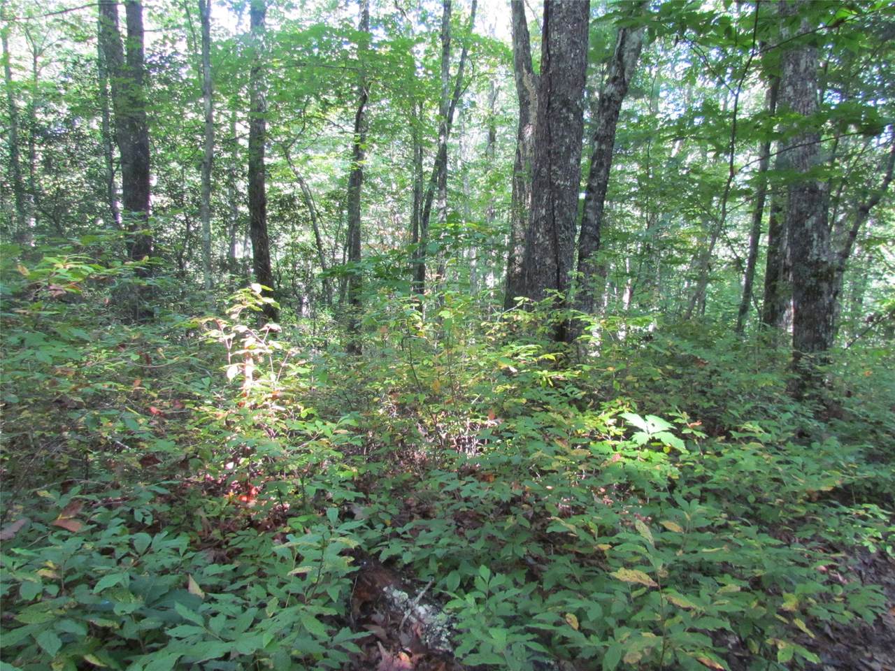 00 Kettle Creek - Photo 1