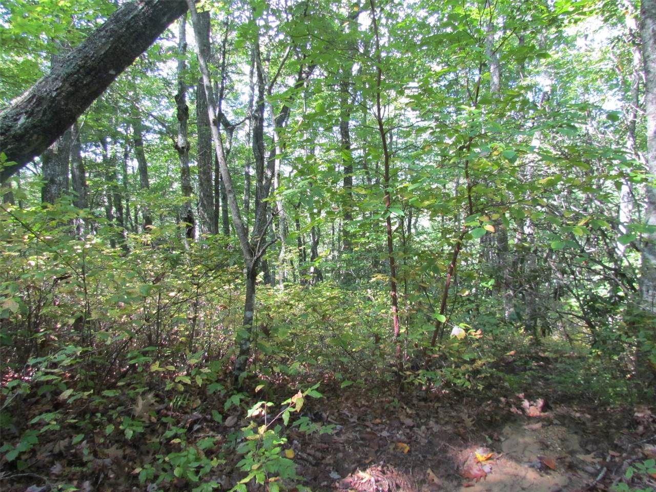 https://bt-photos.global.ssl.fastly.net/hcbor/1280_boomver_2_1004245-2.jpg