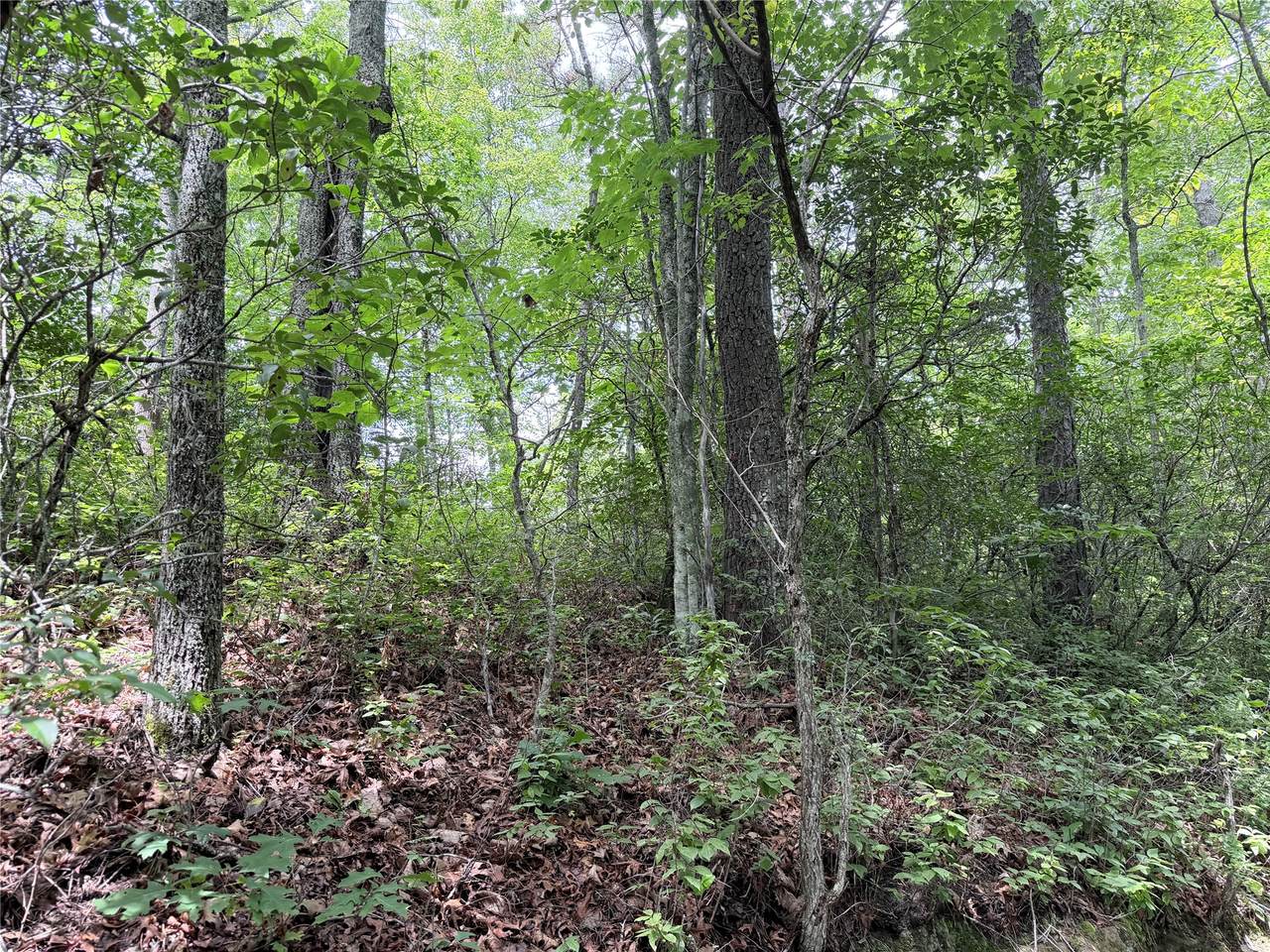 https://bt-photos.global.ssl.fastly.net/hcbor/1280_boomver_2_1004284-2.jpg