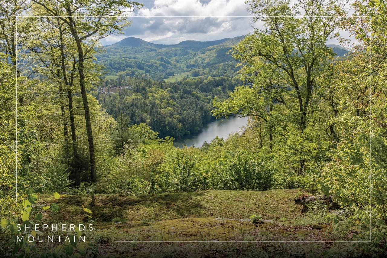 723 Shepherds Gap Road - Photo 1