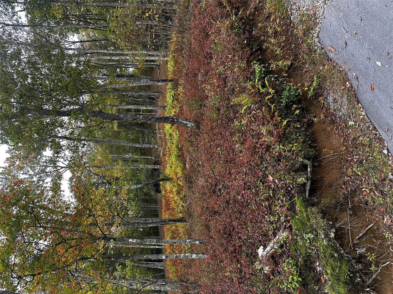 38 Hidden Grouse Lane - Photo 1