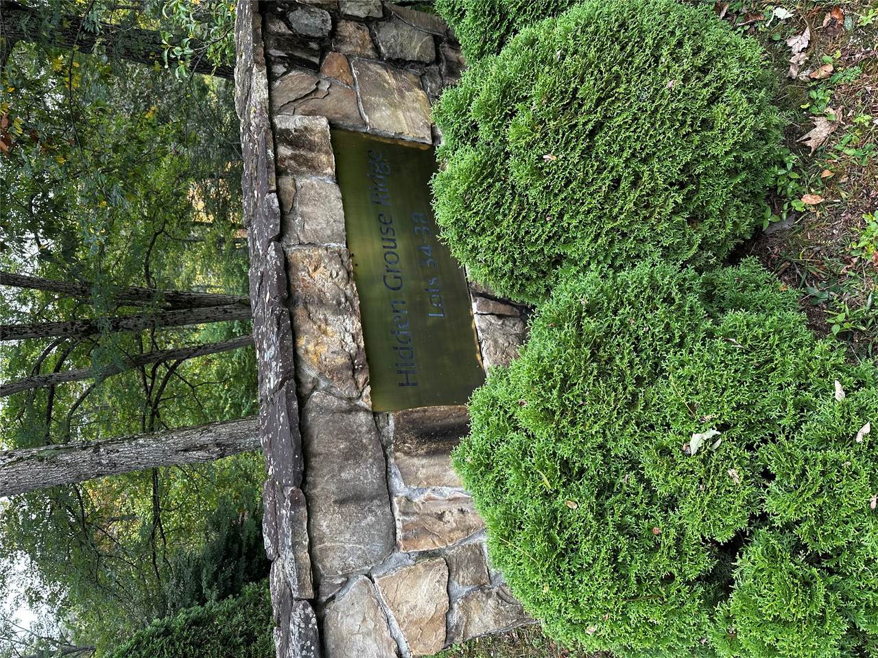 https://bt-photos.global.ssl.fastly.net/hcbor/1280_boomver_3_1002016-2.jpg