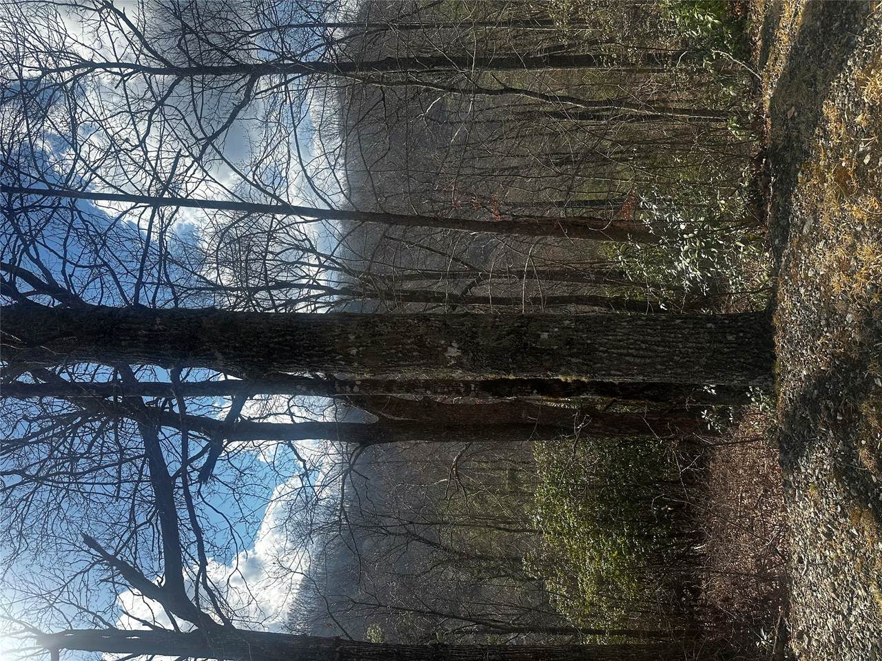 https://bt-photos.global.ssl.fastly.net/hcbor/1280_boomver_3_1002736-2.jpg