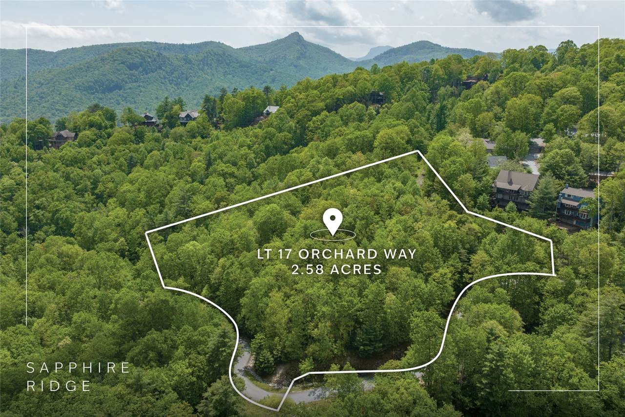 Lot 17 Orchard Way - Photo 1