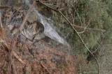 Off Neely Road And Usfs Road - Photo 15