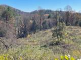 Off Neely Road And Usfs Road - Photo 37