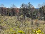Off Neely Road And Usfs Road - Photo 38