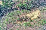 Off Neely Road And Usfs Road - Photo 8
