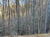 50 Rustling Woods Trail - Photo 1