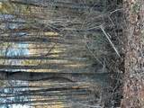 50 Rustling Woods Trail - Photo 2