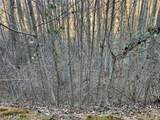 50 Rustling Woods Trail - Photo 6