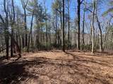 TBD Panther Ridge Road - Photo 10