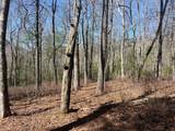 TBD Panther Ridge Road - Photo 13