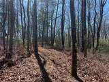 TBD Panther Ridge Road - Photo 2