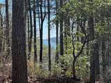 TBD Panther Ridge Road - Photo 8