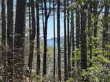 TBD Panther Ridge Road - Photo 9