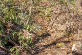 298 Carpenter Road - Photo 91