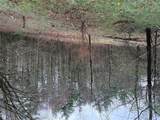 0 Robinson Creek Rd - Photo 10
