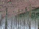 0 Robinson Creek Rd - Photo 11
