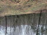 0 Robinson Creek Rd - Photo 14