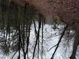 0 Robinson Creek Rd - Photo 16
