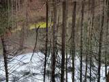 0 Robinson Creek Rd - Photo 17
