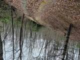 0 Robinson Creek Rd - Photo 2