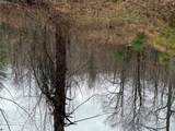 0 Robinson Creek Rd - Photo 20