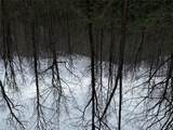 0 Robinson Creek Rd - Photo 22