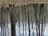 0 Robinson Creek Rd - Photo 3