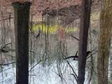 0 Robinson Creek Rd - Photo 5