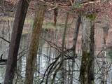 0 Robinson Creek Rd - Photo 6