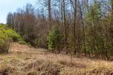 0 Bridgestone Drive - Photo 4
