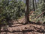 TBD Mill Creek Road - Photo 11