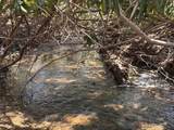 TBD Mill Creek Road - Photo 13