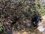 TBD Mill Creek Road - Photo 14