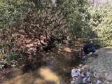 TBD Mill Creek Road - Photo 4