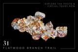 31 Flatwood Branch Trail - Photo 6