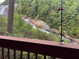 221 Toxaway Falls Drive - Photo 34