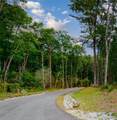 Lot 1 Bear Mor Ridge - Photo 1